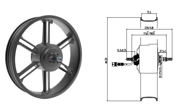 DGW25R Ebike Brushless Motor Wheel